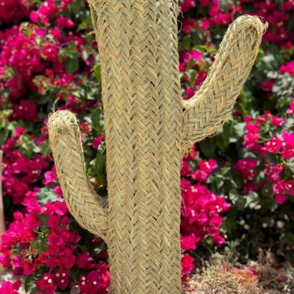 Cactus de esparto